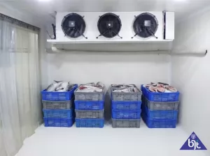 BJT Menjual Cold Room Chiller Freezer Kapasitas 5 Ton di Indonesia